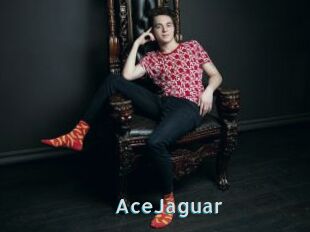 AceJaguar
