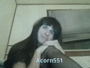 Acorn551