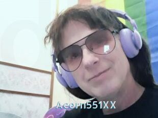 Acorn551XX