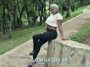 AdwuaShayk
