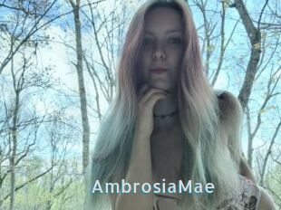 AmbrosiaMae