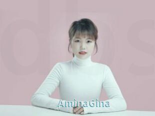 AminaGina