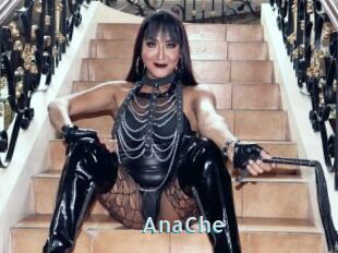 AnaChe