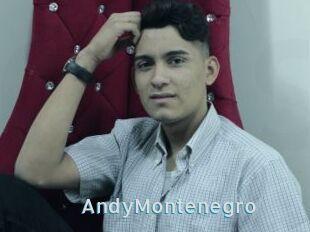 AndyMontenegro