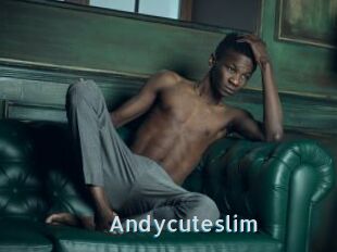 Andycuteslim
