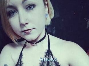 Aneko