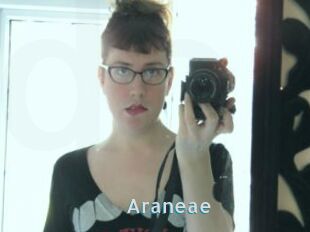 Araneae