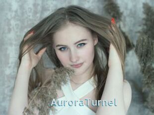 AuroraTurnel