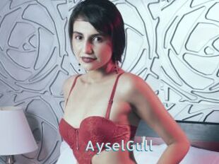AyselGull