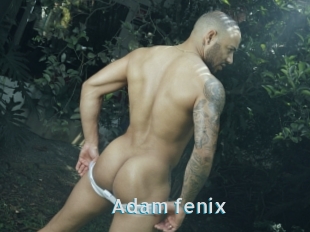 Adam_fenix