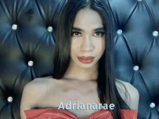 Adrianarae