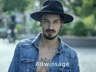 Adwinsage