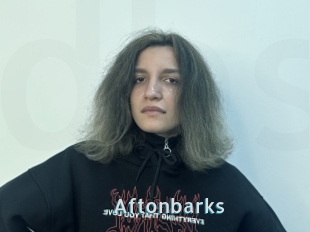 Aftonbarks