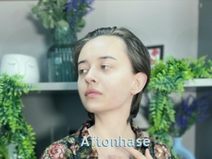 Aftonhase