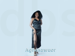 Agnesawuor
