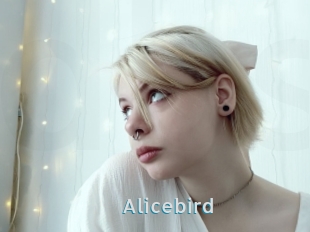 Alicebird