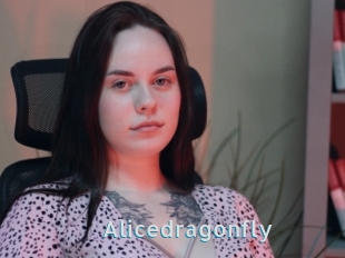 Alicedragonfly