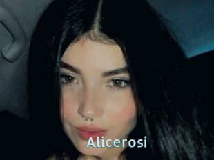 Alicerosi