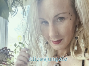 Alicesjungalo