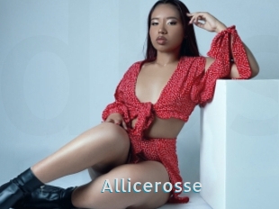Allicerosse