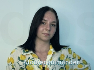 Alodiecommander