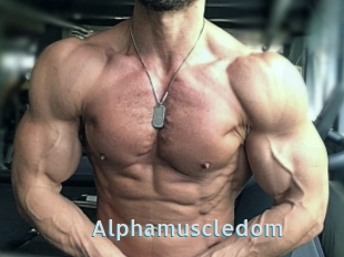 Alphamuscledom