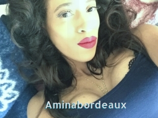 Aminabordeaux