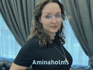 Aminaholms