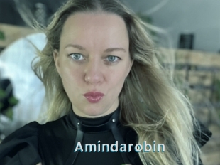 Amindarobin