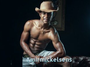 Amirmickelsens