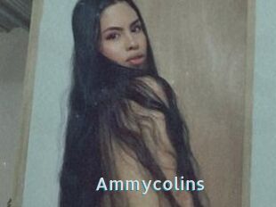 Ammycolins