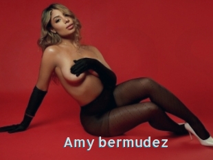 Amy_bermudez
