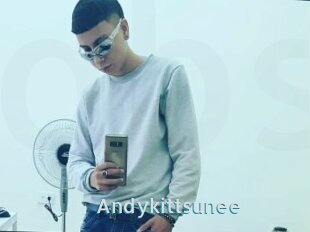 Andykittsunee