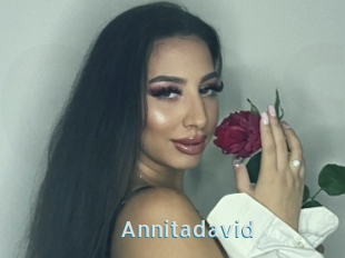 Annitadavid