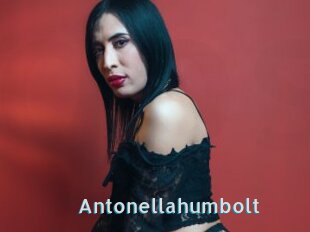 Antonellahumbolt