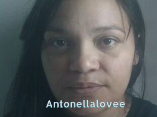 Antonellalovee