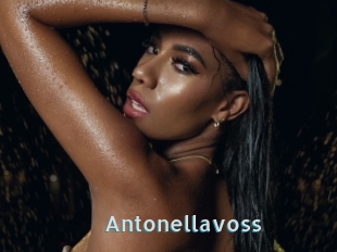 Antonellavoss
