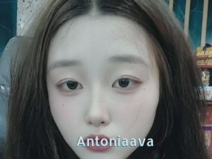 Antoniaava