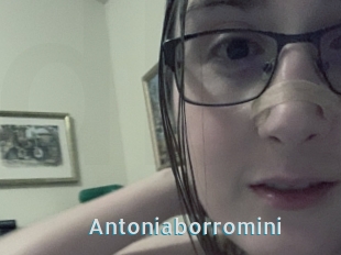 Antoniaborromini