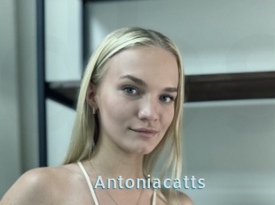 Antoniacatts