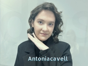 Antoniacavell