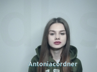 Antoniacordner