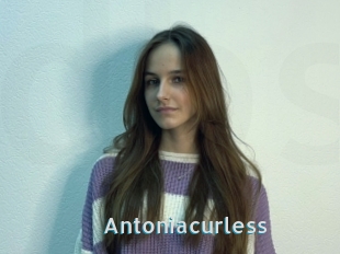 Antoniacurless