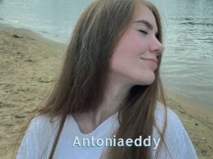 Antoniaeddy