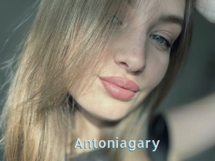 Antoniagary