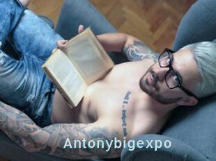 Antonybigexpo