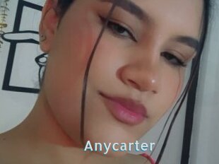 Anycarter