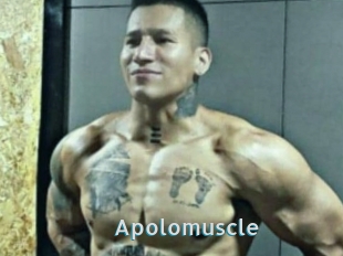 Apolomuscle