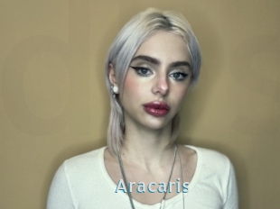 Aracaris