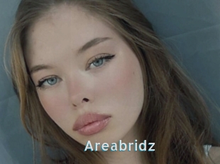 Areabridz
